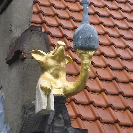 't Saenraik Zaltbommel